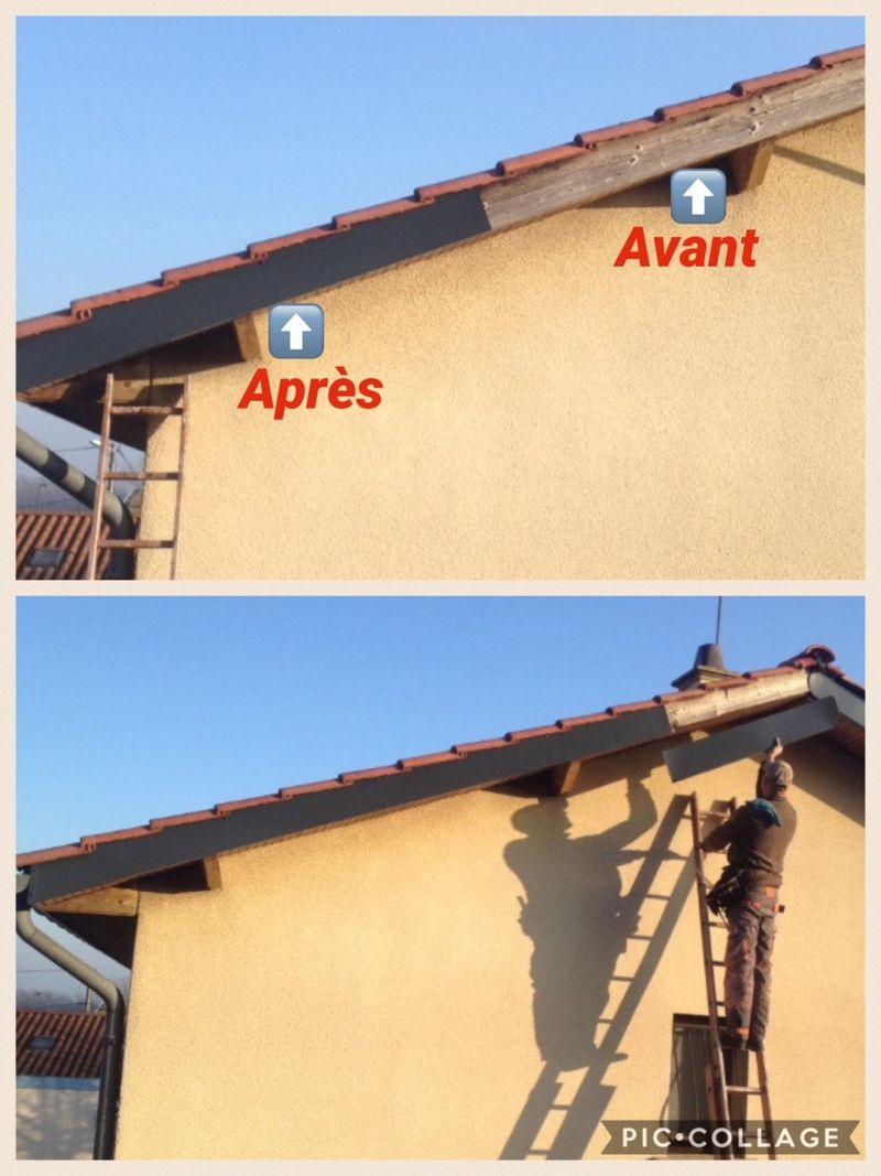 Sonnyrenov Dijon couvreur, zingueur Peintre extérieure Demoussage toiture Habillage pvc Peinture toiture demoussage toitures — Photos 12
